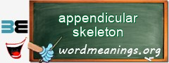 WordMeaning blackboard for appendicular skeleton
